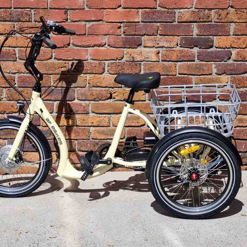 Showroom News - Electric Bike or Electric Trike: What's the Best Option for You?