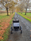 Trident semi-recumbent electric tricycle out in nature