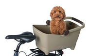  cute dog sitting in bike basket