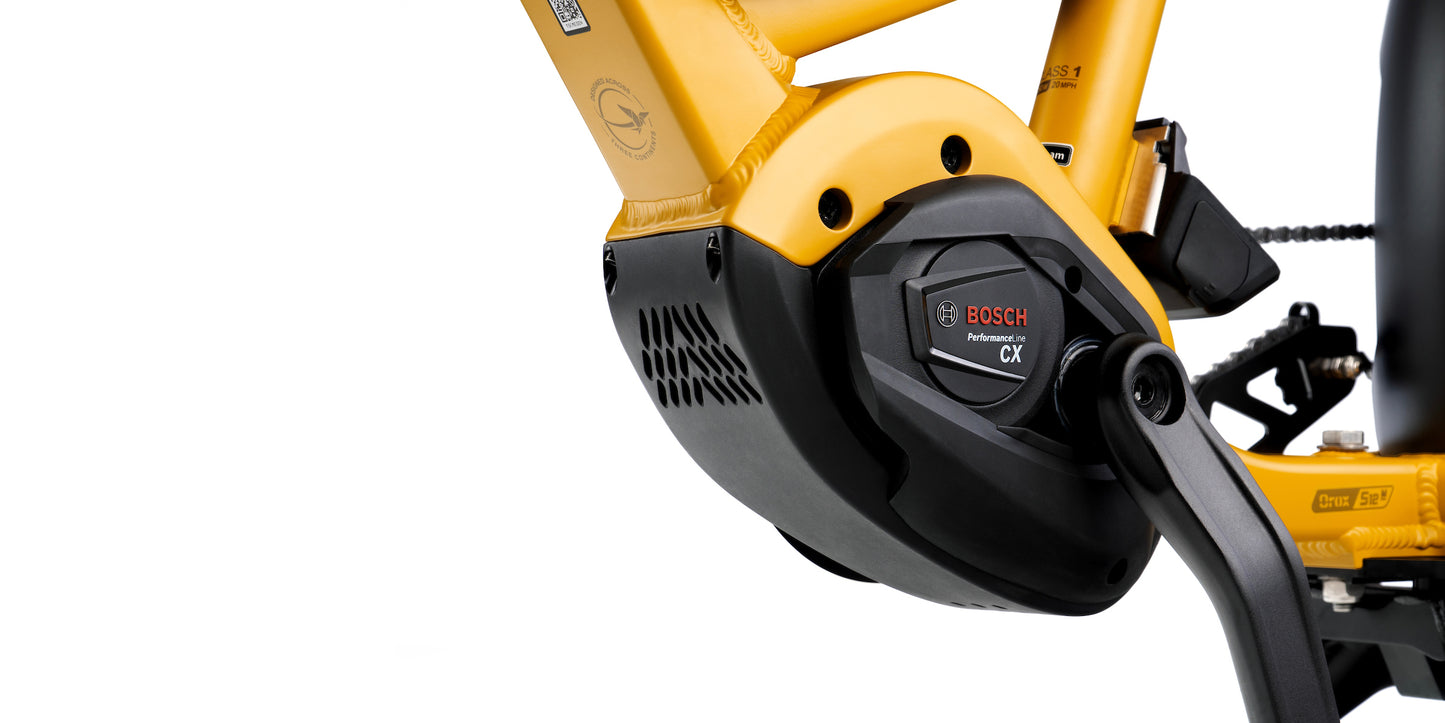 Bosch Motor