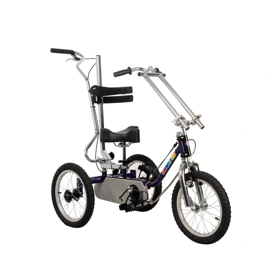 black Body Cycles Edge Special Needs Tricycle