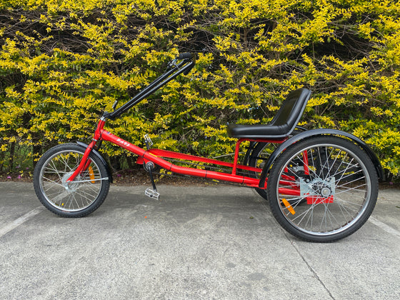 red Worksman Personal Activity Vehicle Electric Tricycle