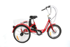 Red Gomier electric tricycle