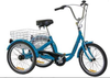 Blue Gomier electric tricycle