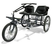  Black Worksman Team Dual electrical side-by-side tricycle