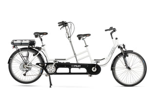  special needs electric bike