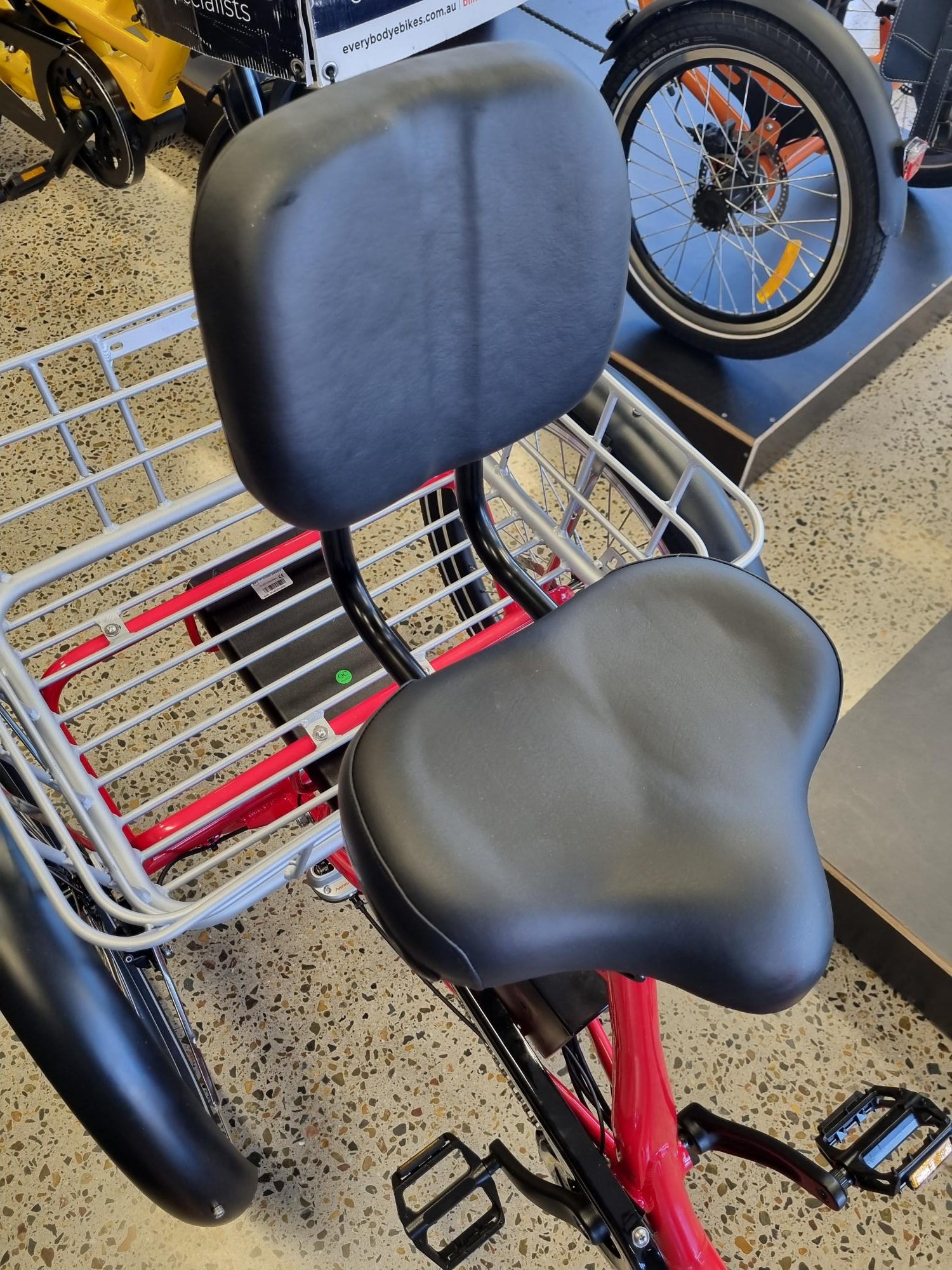 Backrest Saddle Electric Trikes EveryBody eBikes