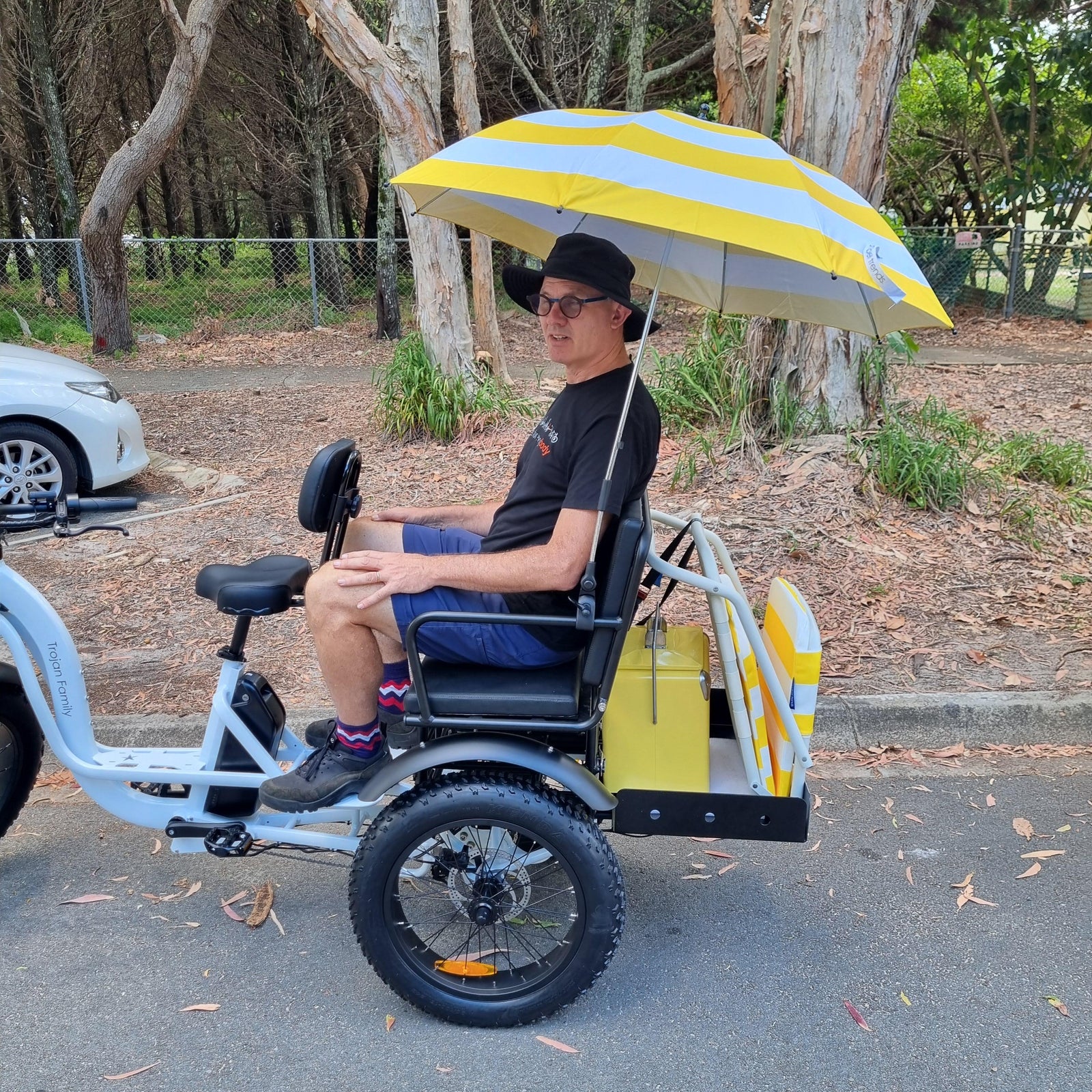 Trojan Family Fat Tyre Electric Tricycle — view 15