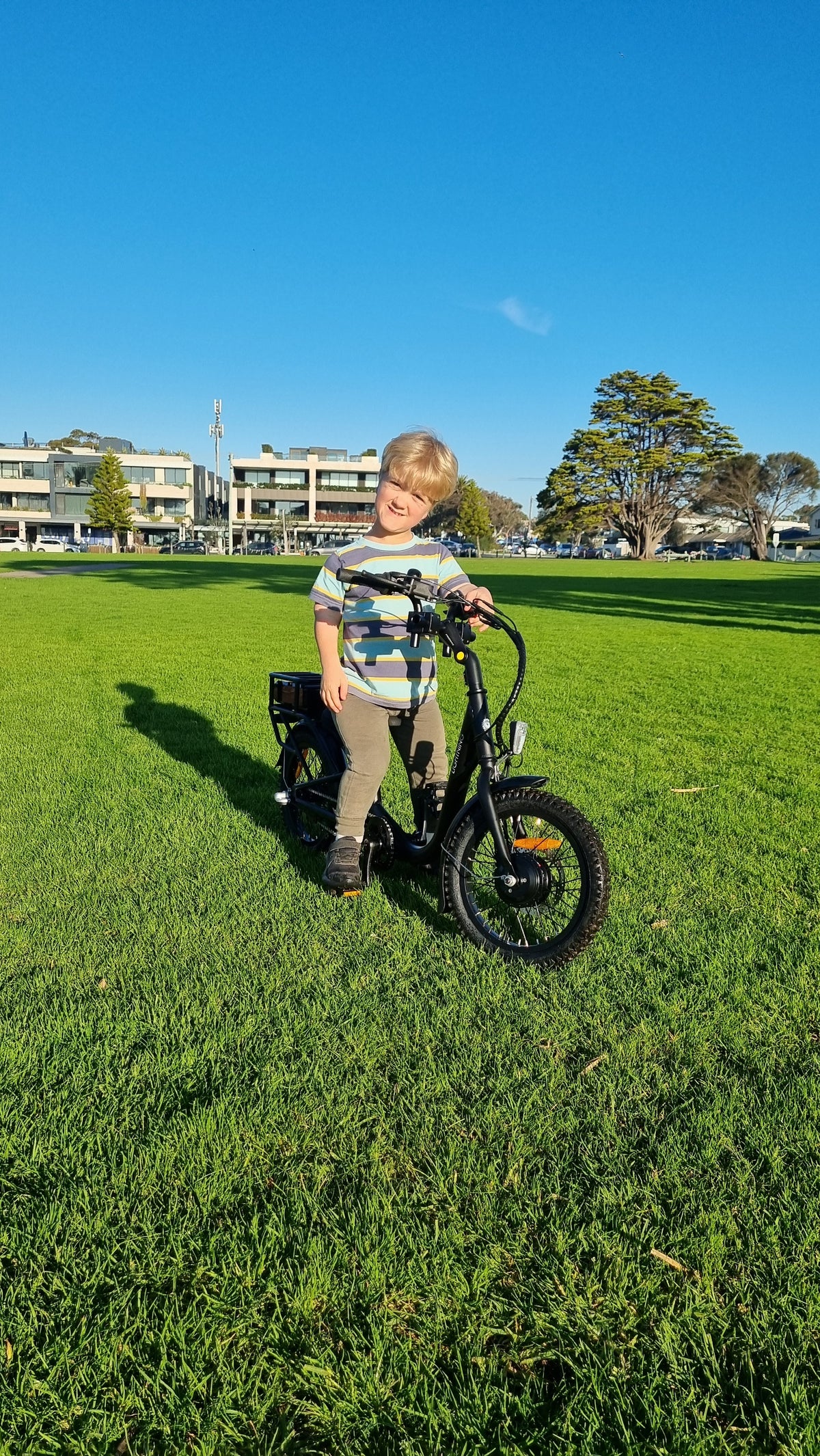 Lightning Electric Bike (optional 2+2) — view 7