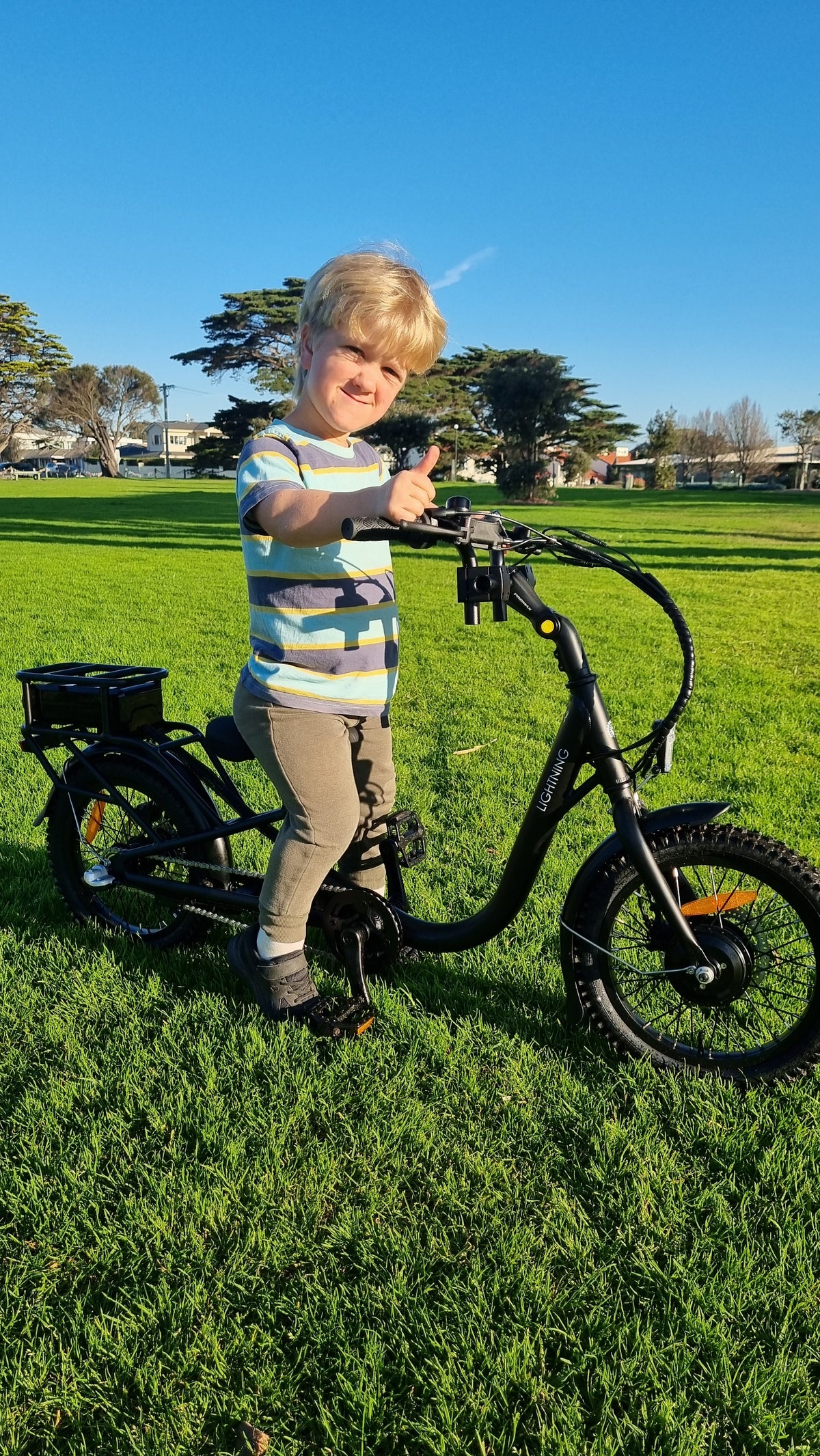 Lightning Electric Bike (optional 2+2) — view 6