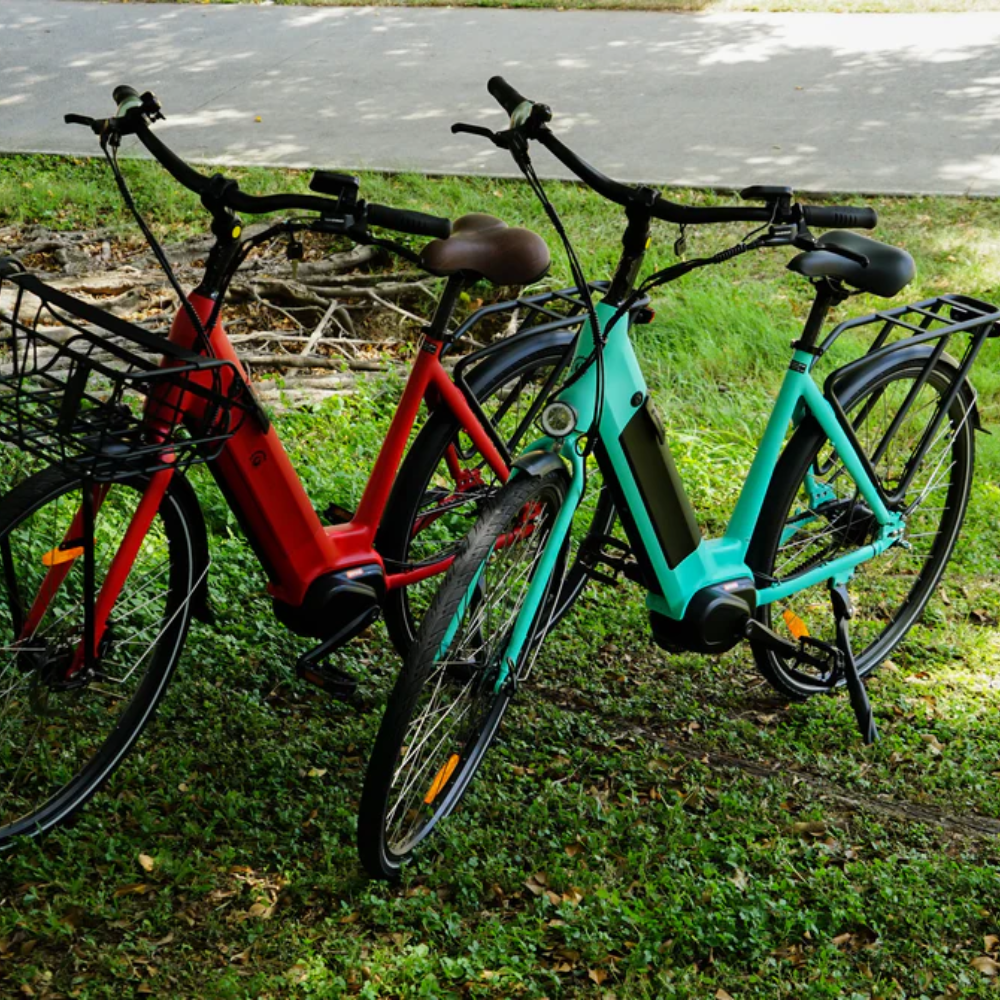 electric bikes in the park