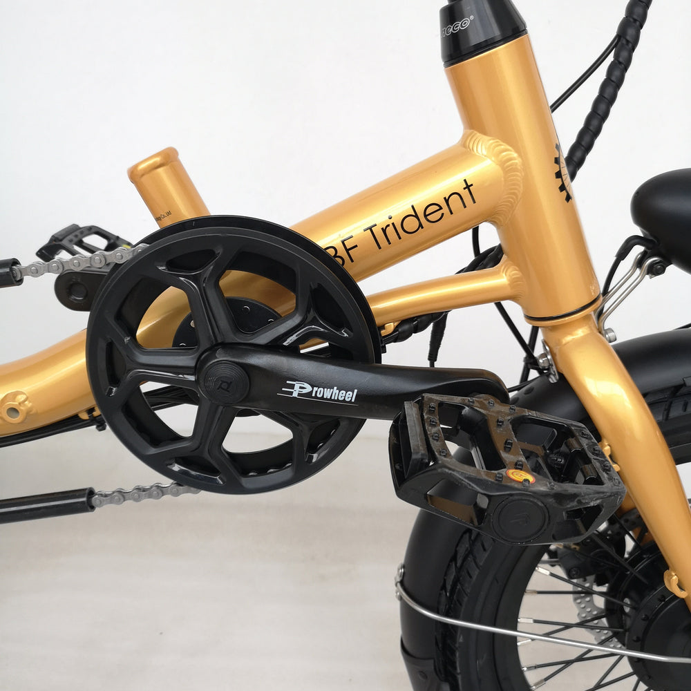 
                      
                        Closed up of pedal on gold coloured Trident semi-recumbent electric tricycle
                      
                    