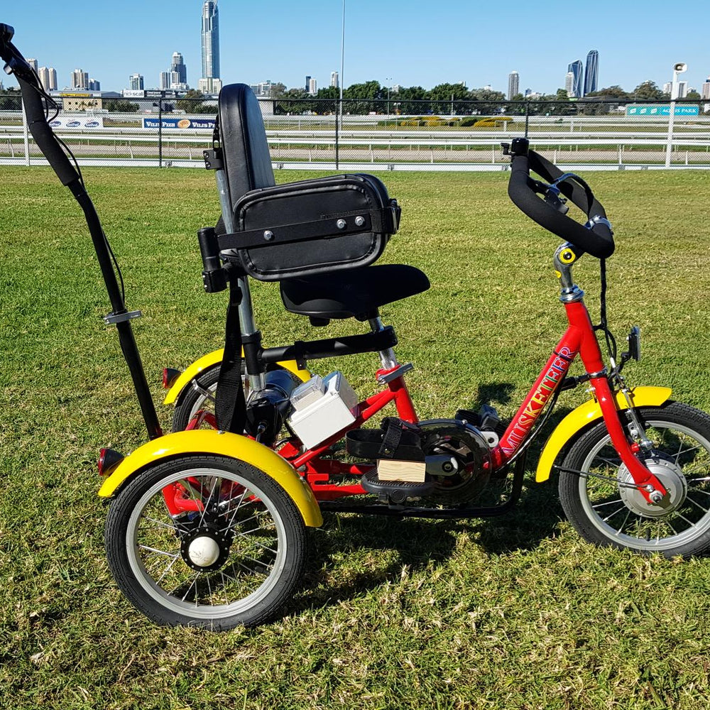 
                      
                        Muskateer 14" tricycle with rear steer and special needs mods
                      
                    