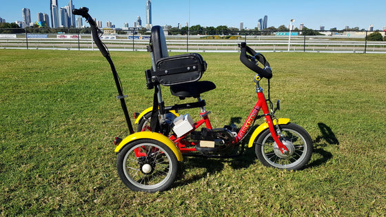 Muskateer 14" tricycle with rear steer and special needs mods