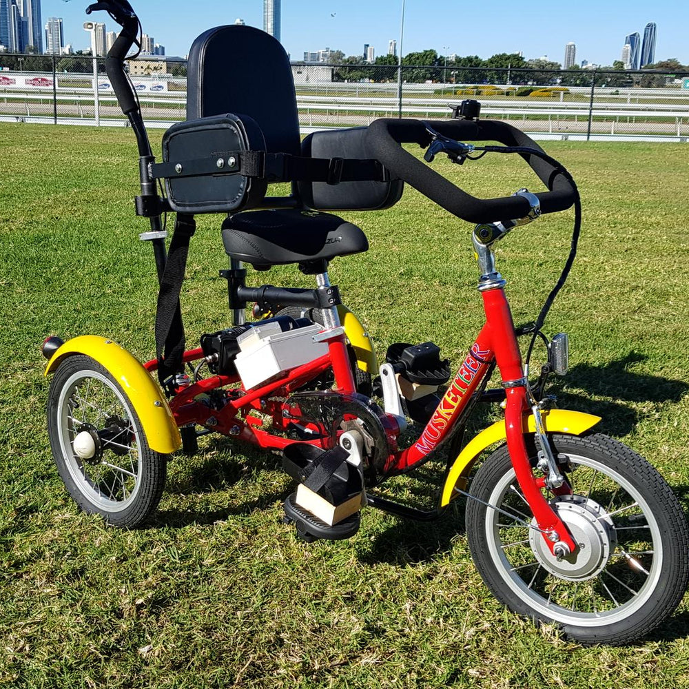 
                      
                        Muskateer 14" tricycle with rear steer and special needs mods
                      
                    