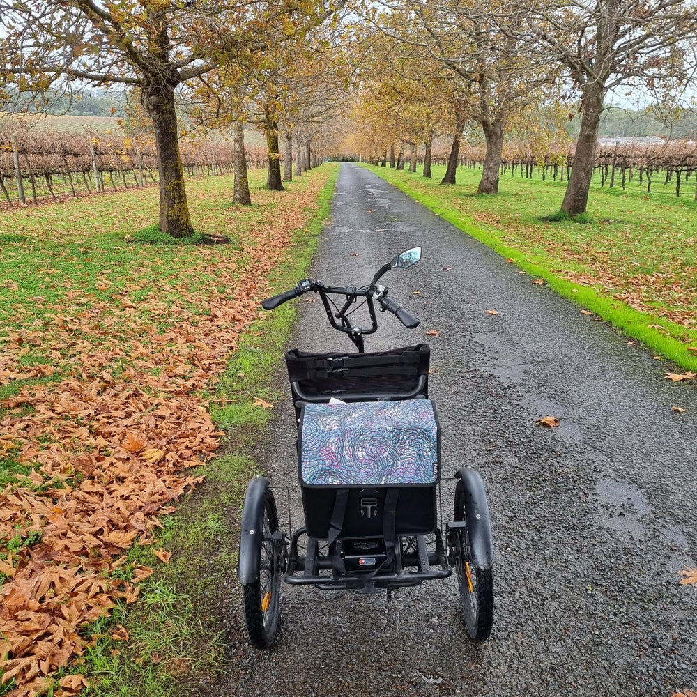 
                      
                        Trident semi-recumbent electric tricycle out in nature
                      
                    