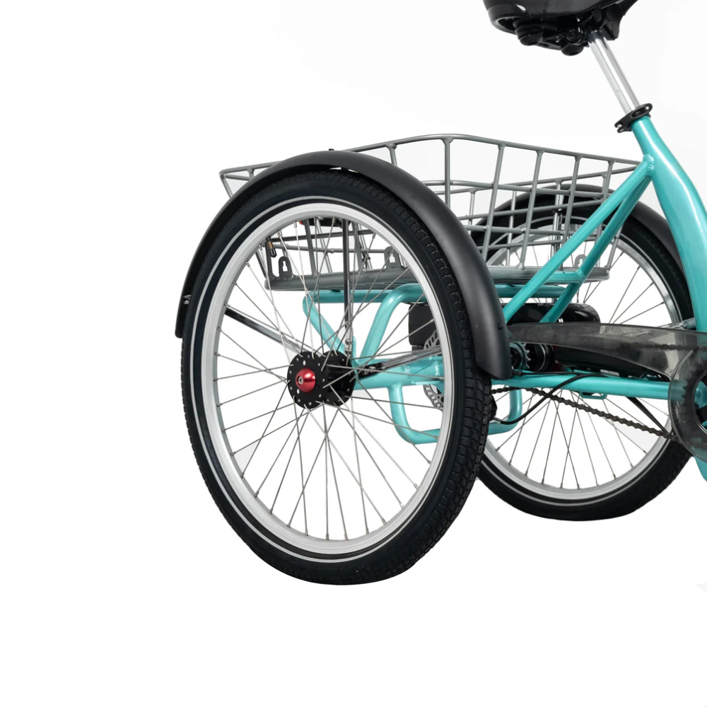 BF i Tri Electric Trike EveryBody eBikes