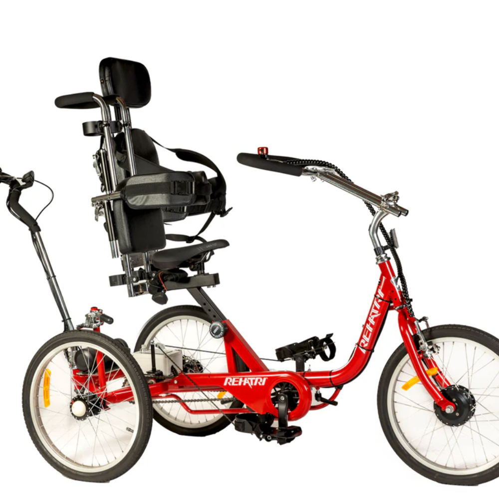 Special Needs tricycle