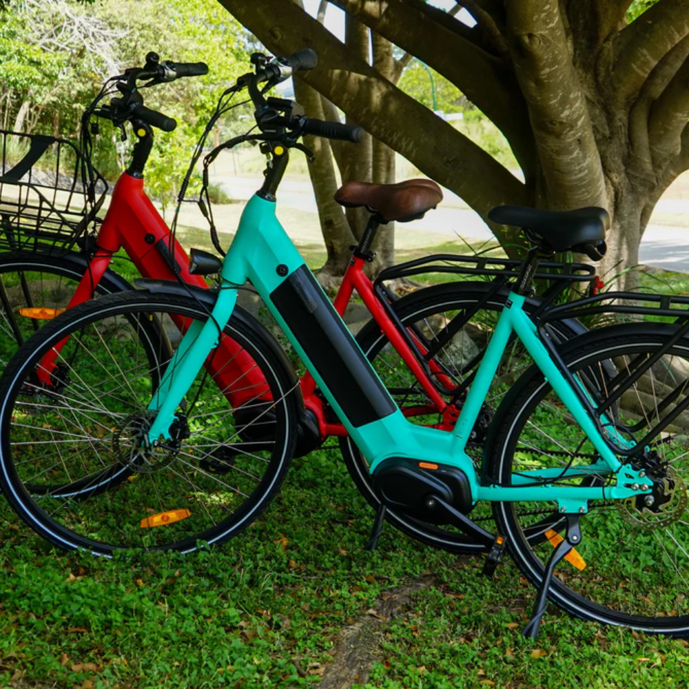 Two electric bikes at the park