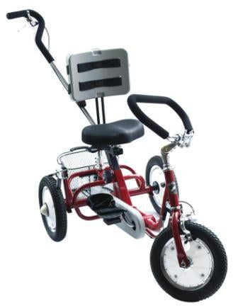 
                      
                        Red Rehatri special needs electric tricycle
                      
                    