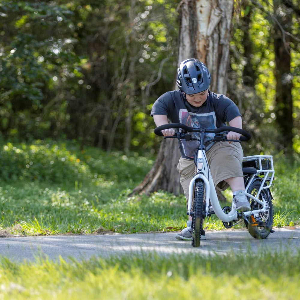 
                      
                        short stature electric bike
                      
                    