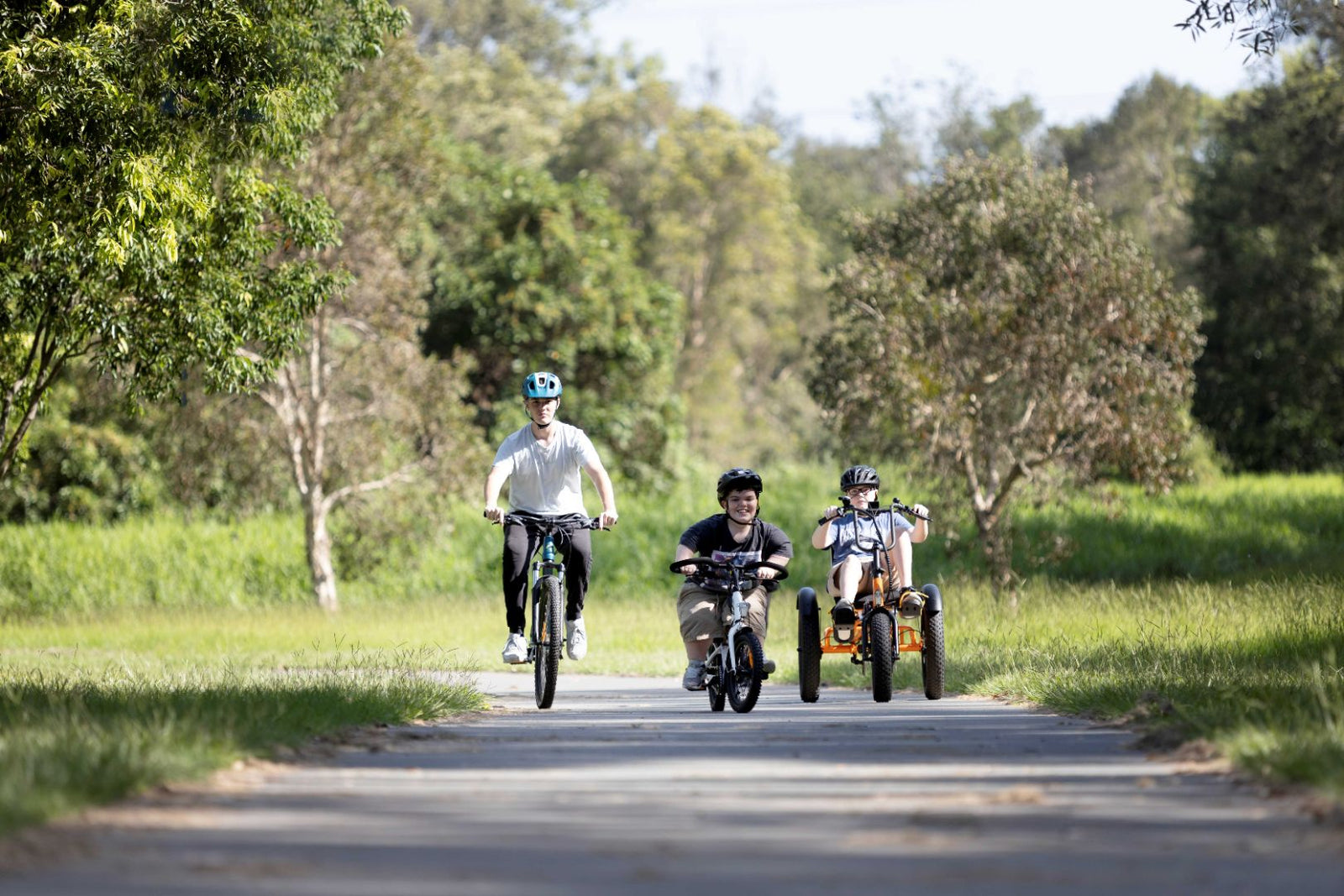 Lightning Electric Bike — view 13