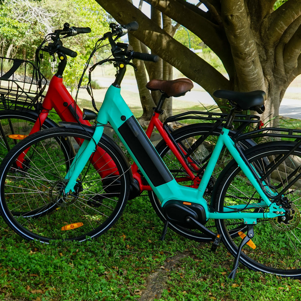 Blue and red e bike