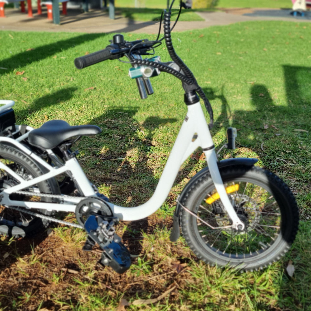 
                      
                        White lightning electric bike
                      
                    