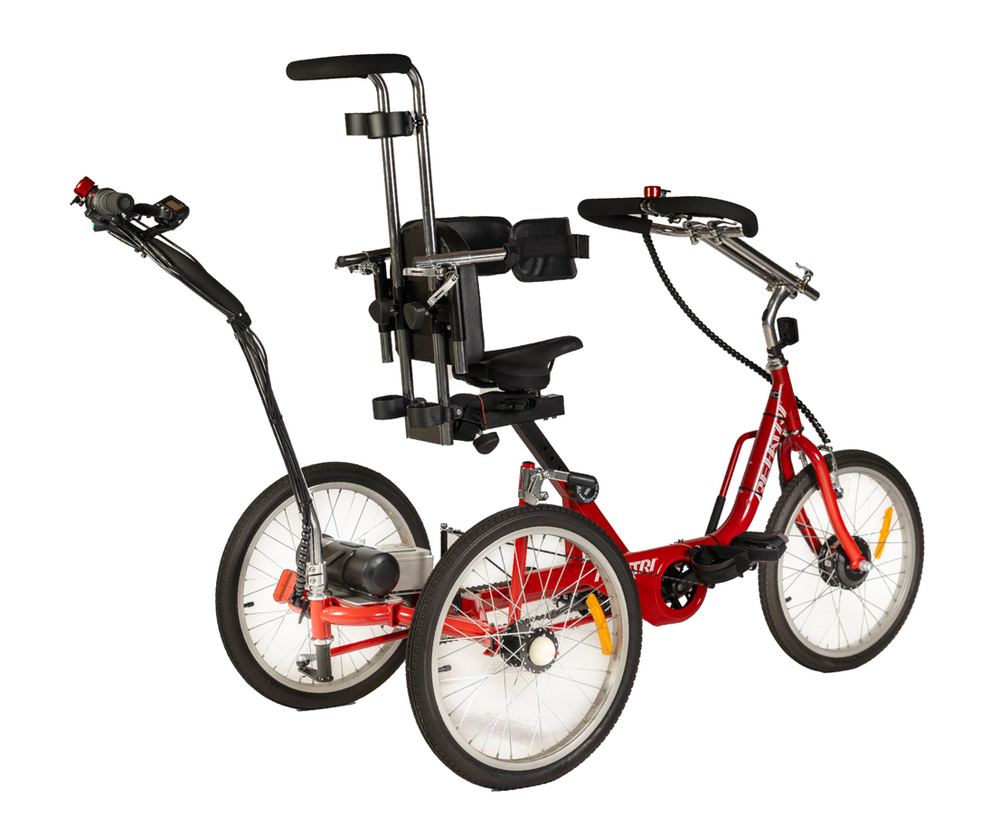 
                      
                        Back view of red special needs electric tricycle
                      
                    