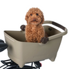 cute dog sitting in bike basket