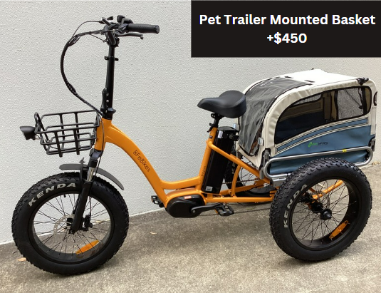 Orange Electric trike