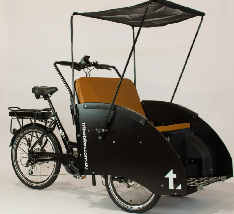 Ricky rickshaw trike