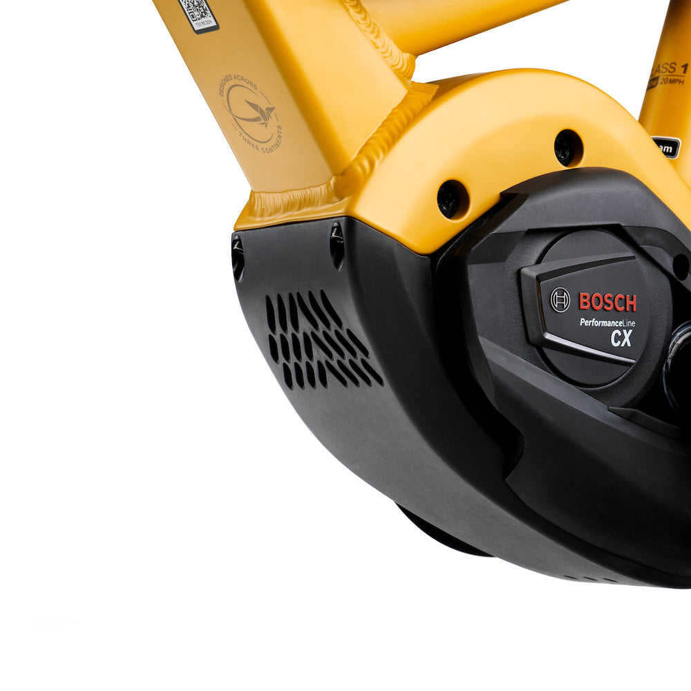 Bosch Motor