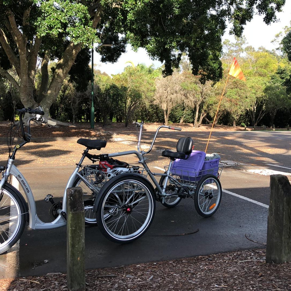 
                      
                        Silver Tandem Trailer Trike 
                      
                    