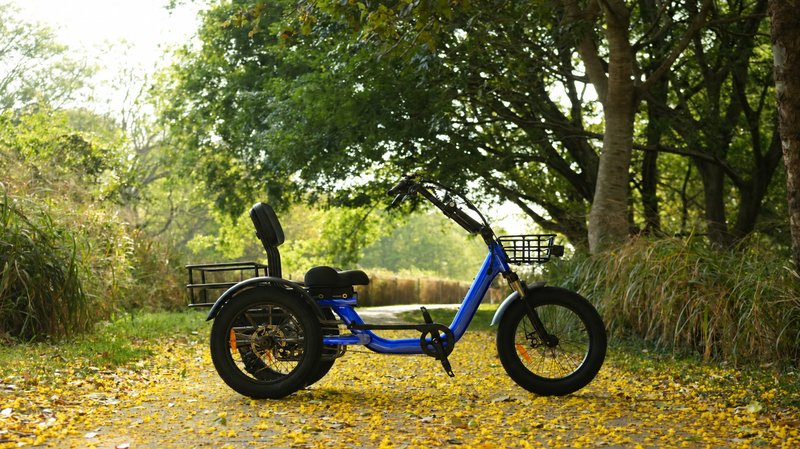 EBEB Trekker Electric Tricycle