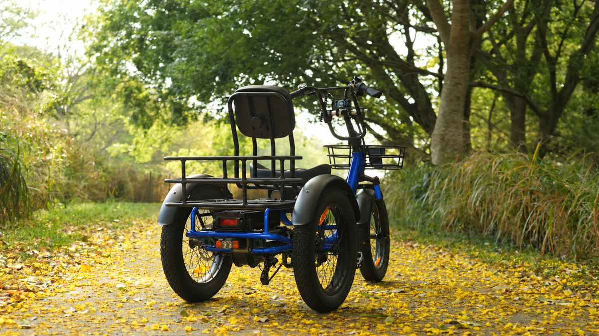EBEB Trekker Electric Tricycle — view 5