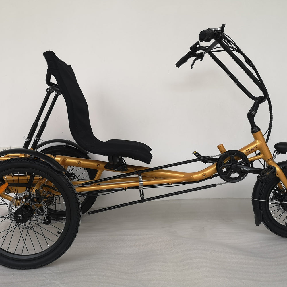 
                      
                        Side view of the gold coloured Trident semi-recumbent electric tricycle
                      
                    