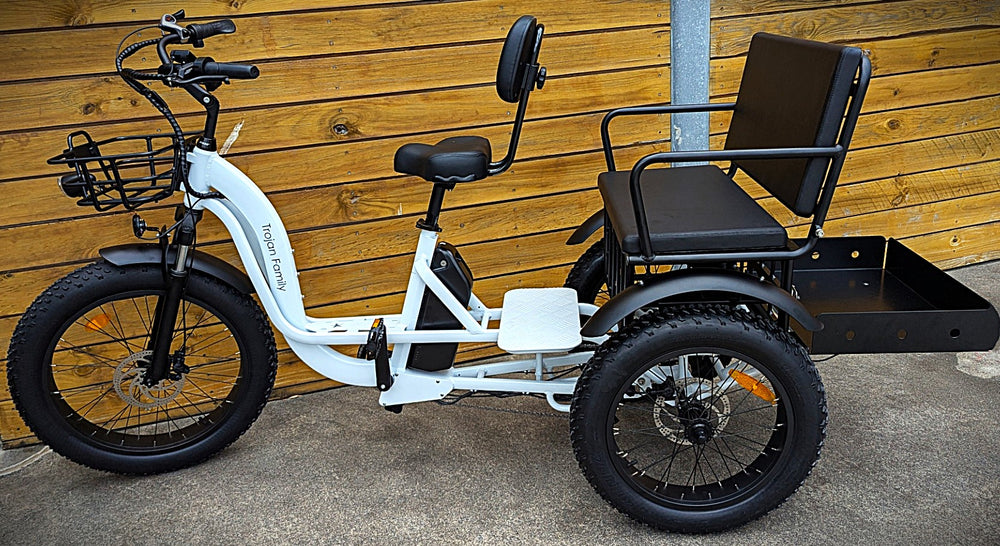 
                  
                    White Trojan Family Electric trike
                  
                