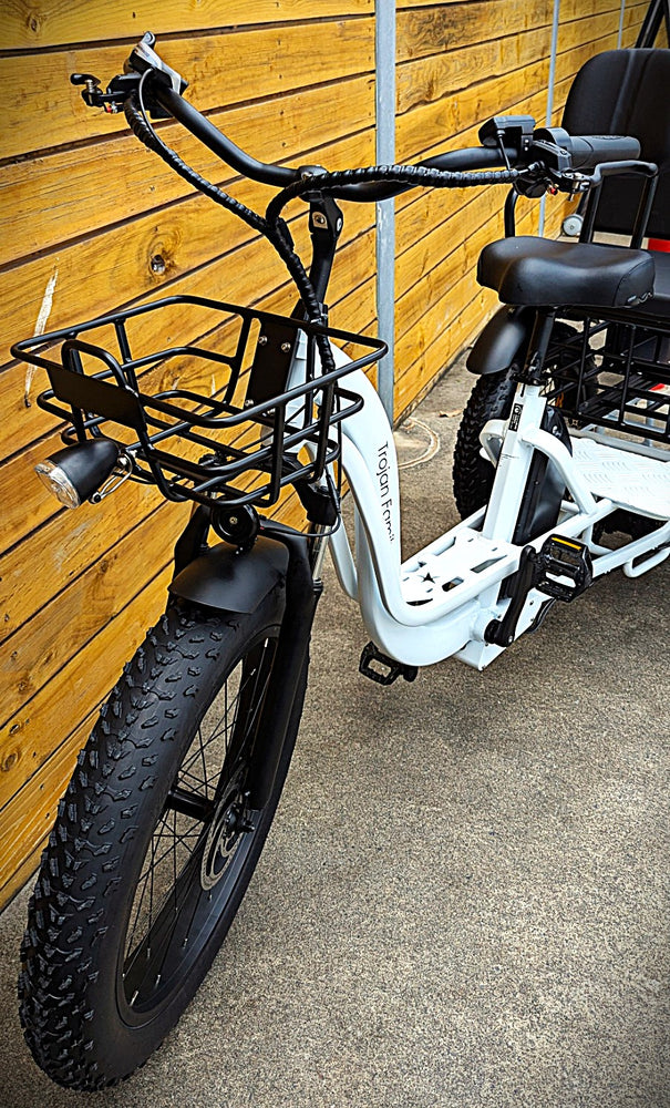 
                  
                    White Trojan Family electric trike
                  
                