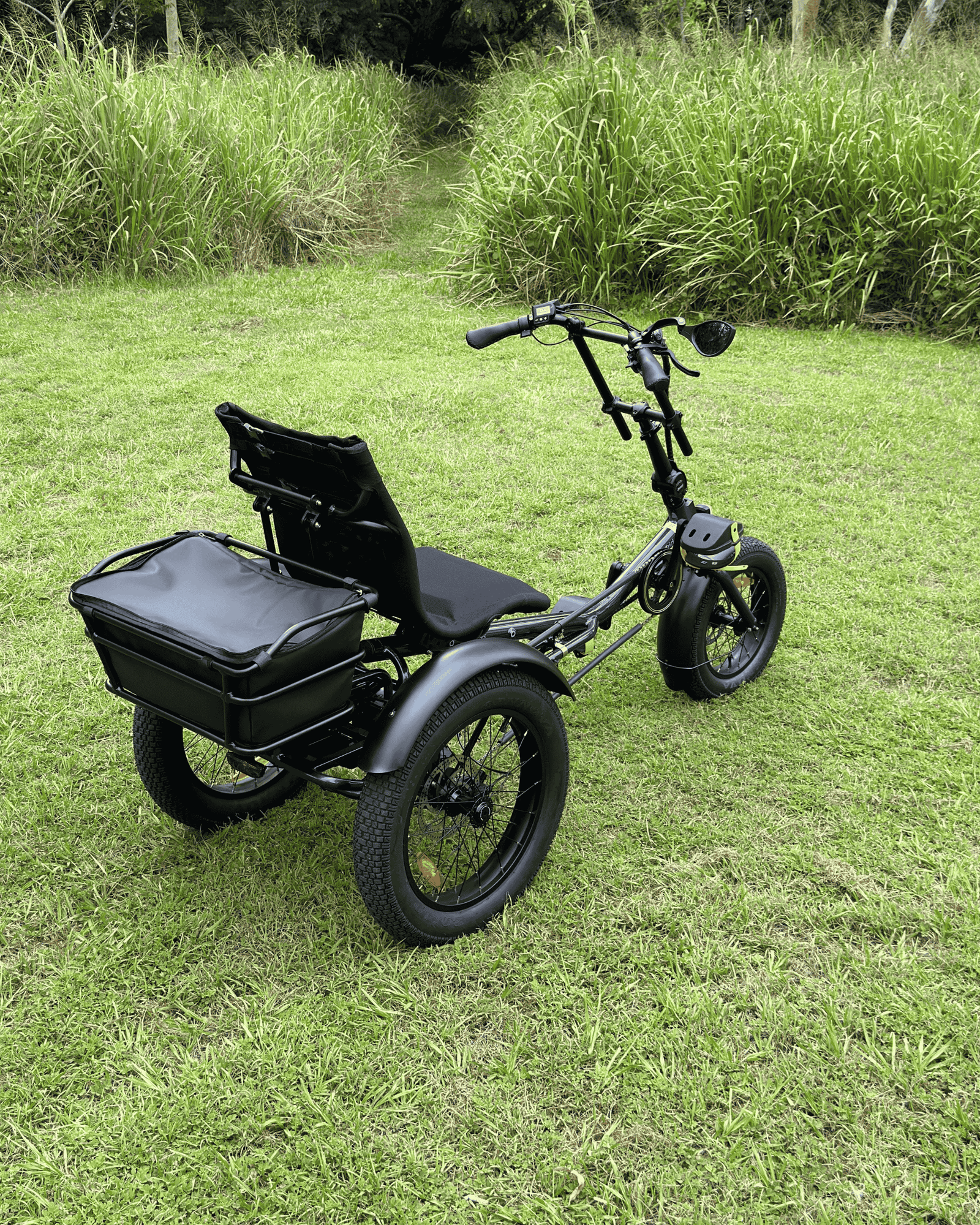 Trident Semi-Recumbent Electric Tricycle — view 8