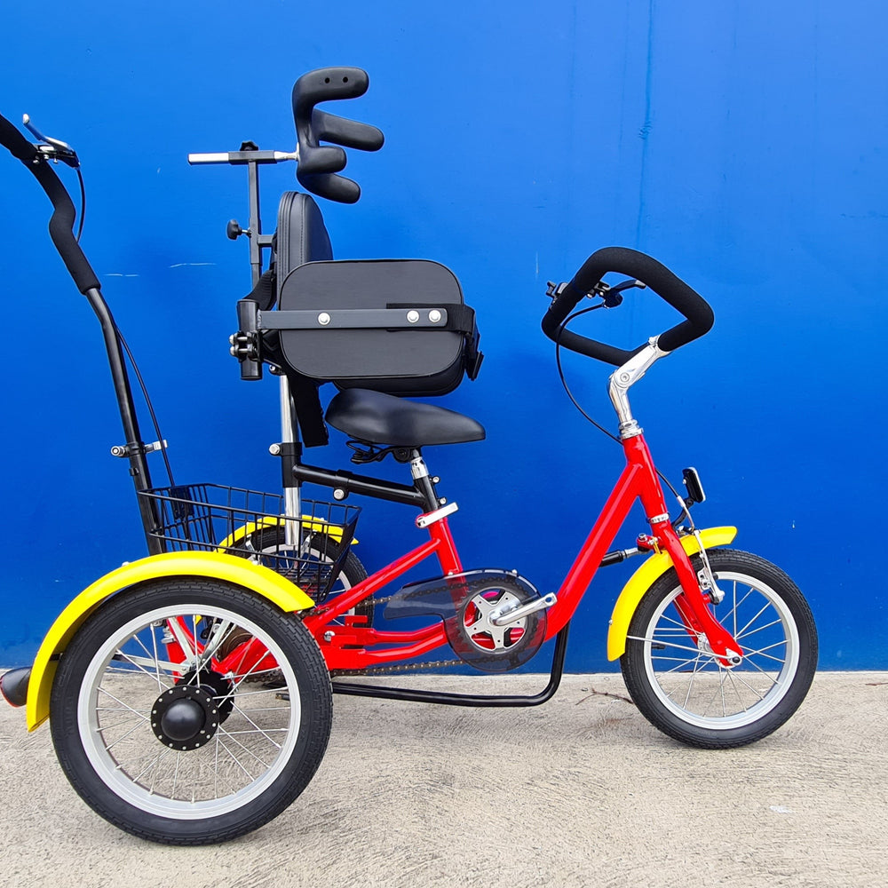 
                      
                        Tricycle with special needs mods
                      
                    