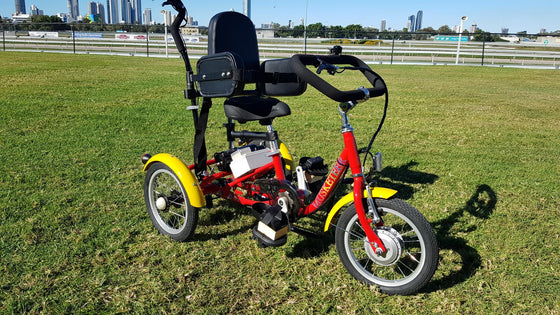 BF Rear Steer Muskateer 14" tricycle with special needs support