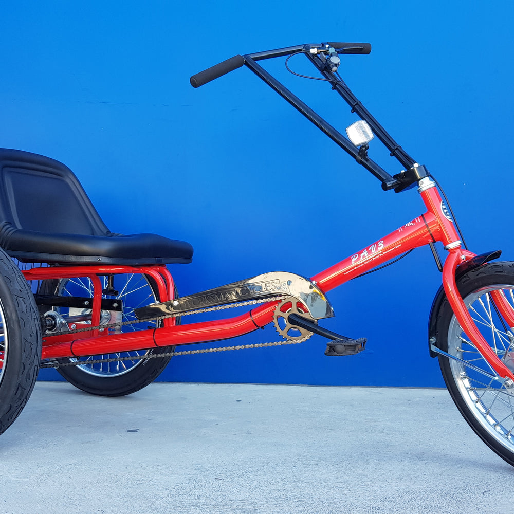 
                  
                    Angled shot of red Worksman PLR Low Rider Electric Tricycle
                  
                