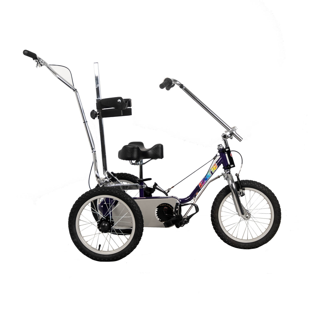 Body Cycles Edge Special Needs Tricycle