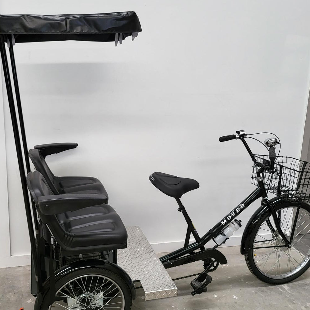 
                      
                        Black Worksman Chariot electric tricycle
                      
                    