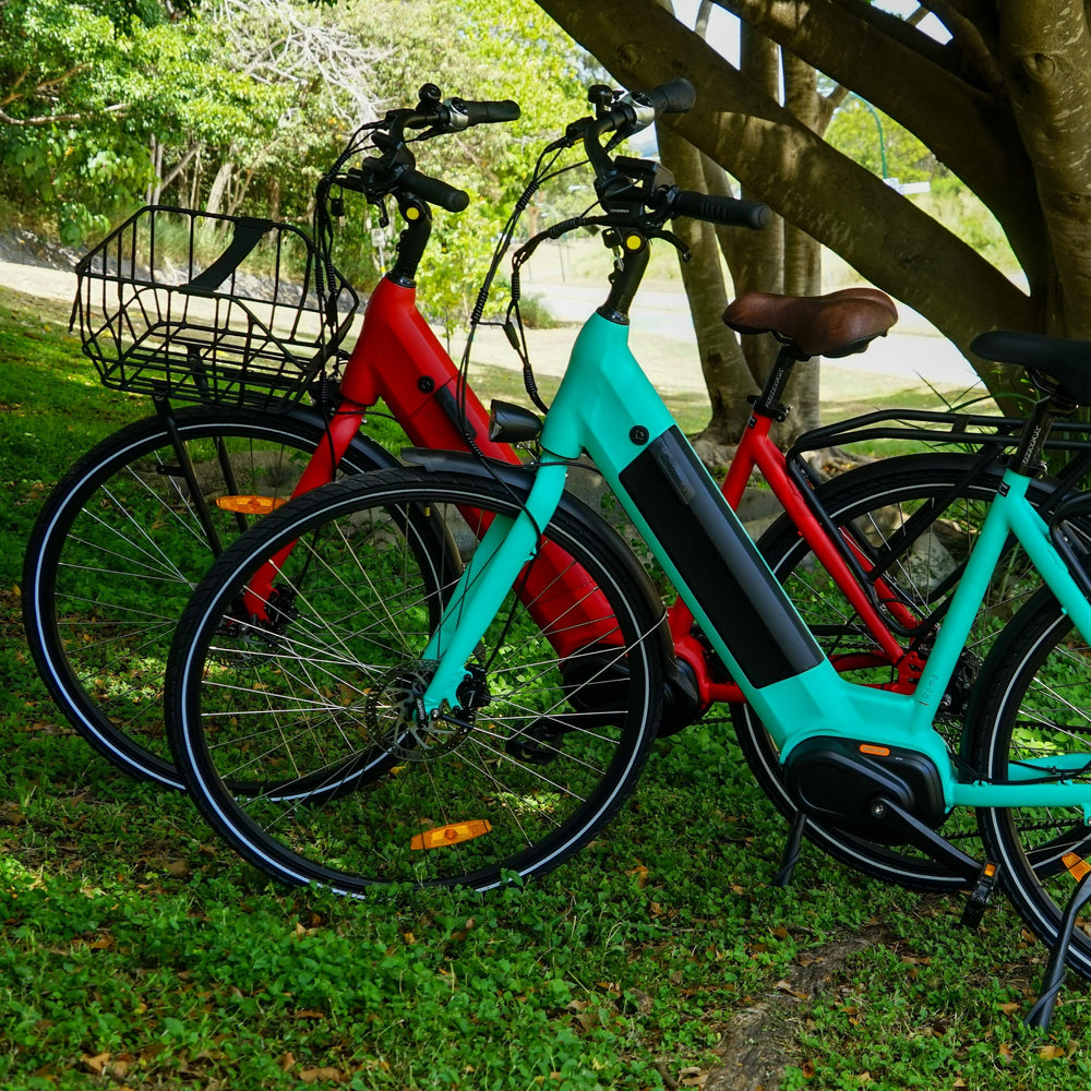 
                      
                        Blue and red BF Roma electric bike
                      
                    