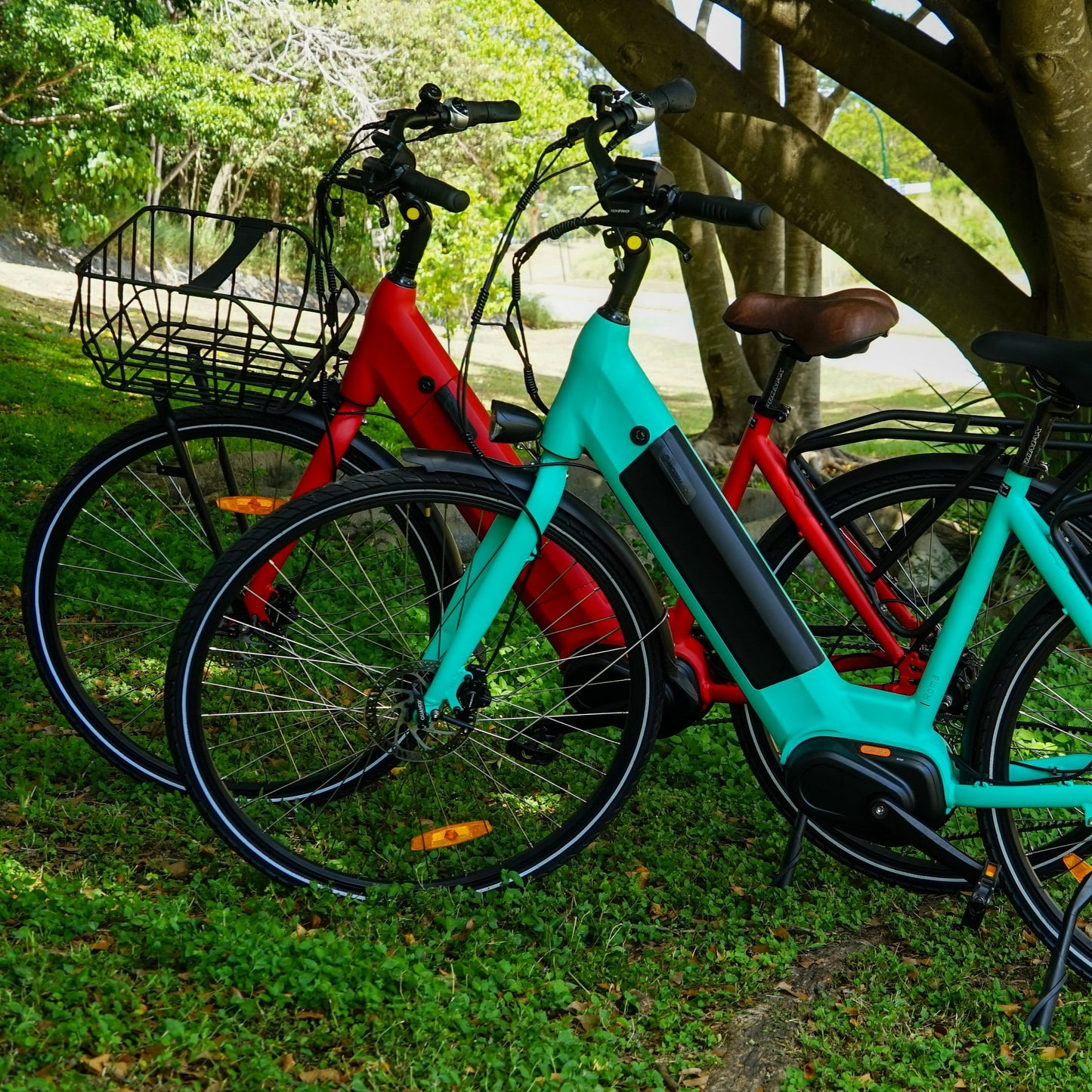 Blue and red BF Roma electric bike