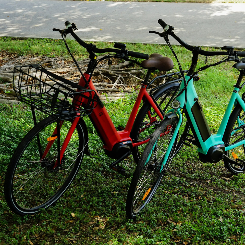 
                      
                        Blue and red BF Roma electric bike
                      
                    