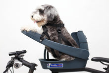  Buddy Rider Bicycle Pet Seat