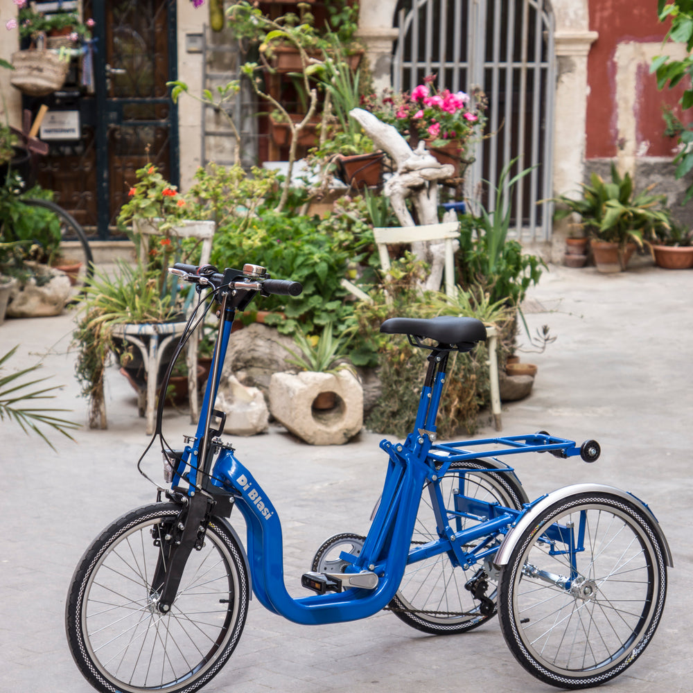 
                      
                        Blue Di Blasi Folding Tricycle in yard
                      
                    